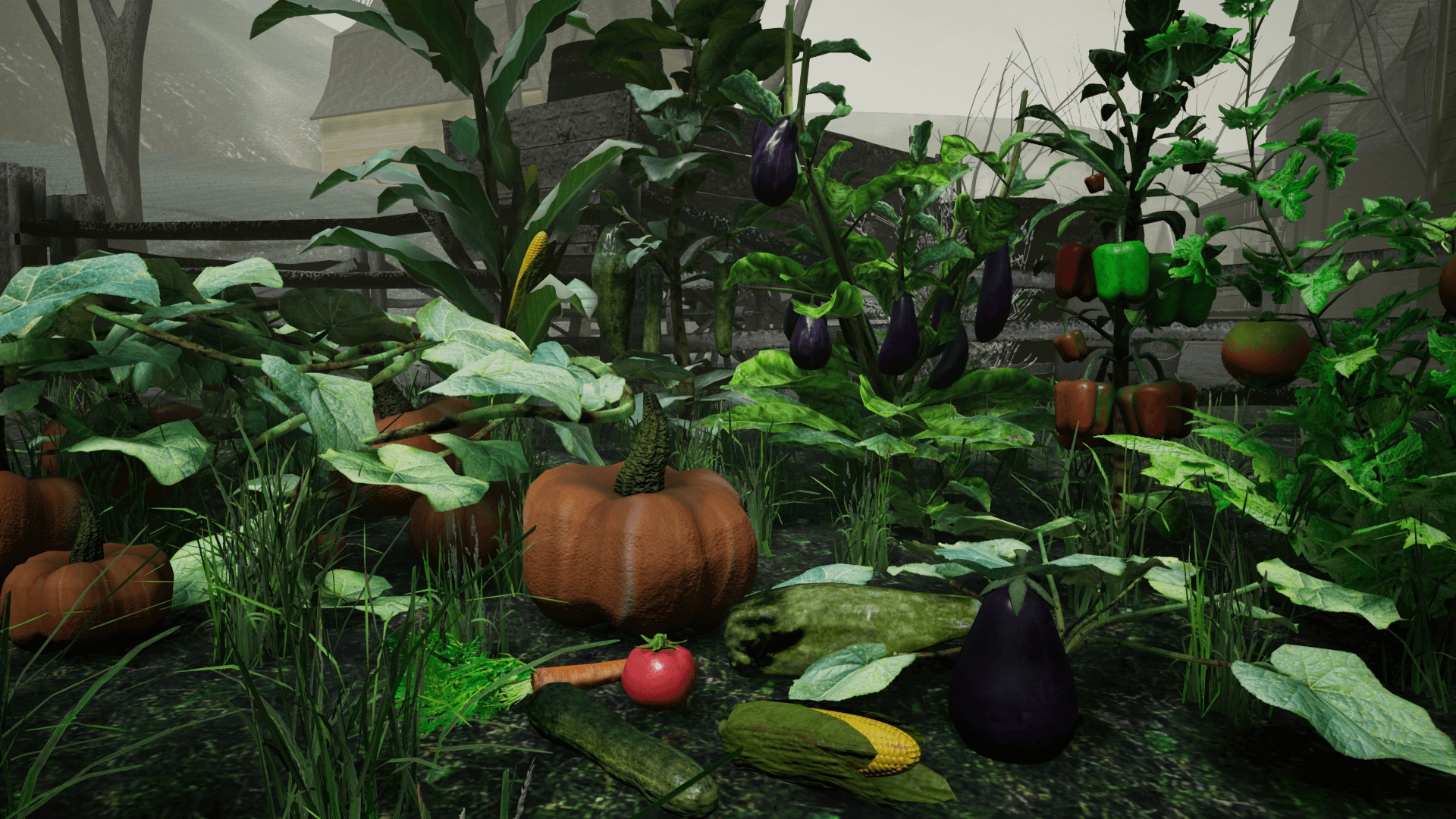 Vegetable Plants